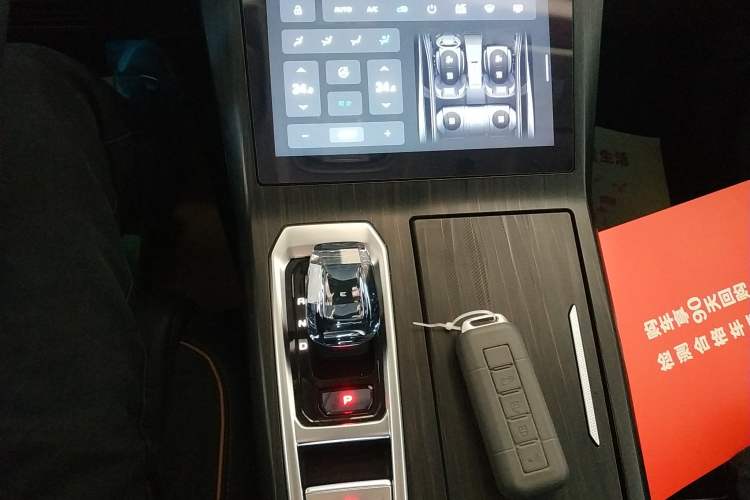 Used Wey Latte DHT-PHEV 2022 1.5T Four-Wheel Drive Extra-Large Version Gear Lever