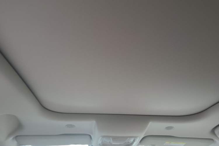Used Wey Latte DHT-PHEV 2022 1.5T Two-Wheel-Drive Extra-Large Version Headliner