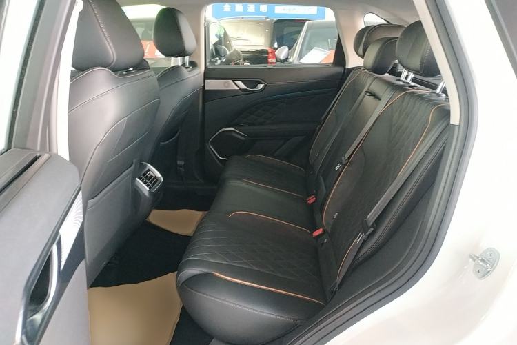 Used Wey Latte DHT-PHEV 2022 1.5T Four-Wheel Drive Extra-Large Version Left Rear Seat
