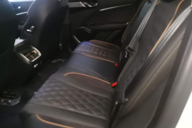 Used Wey Latte DHT-PHEV 2022 1.5T Two-Wheel-Drive Extra-Large Version Left Rear Seat