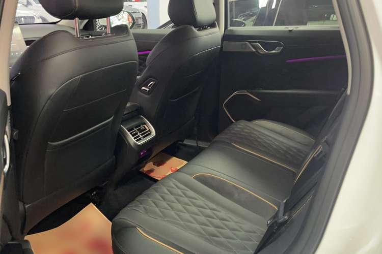 Used Wey Latte DHT-PHEV 2022 1.5T Four-Wheel Drive Extra-Large Version Left Rear Seat