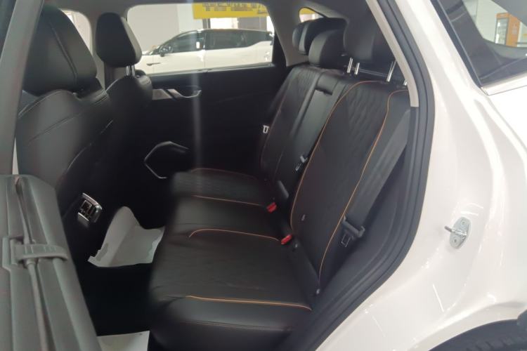 Used Wey Latte DHT-PHEV 2022 1.5T Four-Wheel Drive Extra-Large Version Left Rear Seat