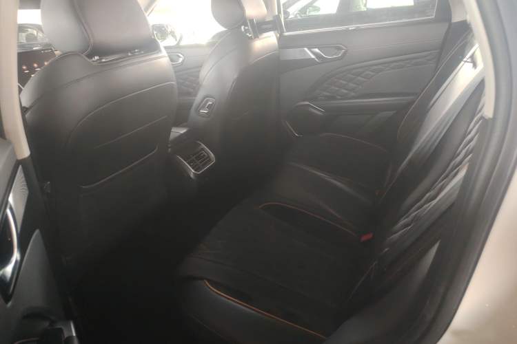 Used Wey Latte DHT-PHEV 2022 1.5T Four-Wheel Drive Extra-Large Version Left Rear Seat