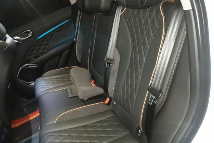 Used Wey Latte DHT-PHEV 2022 1.5T Four-Wheel Drive Extra-Large Version Left Rear Seat