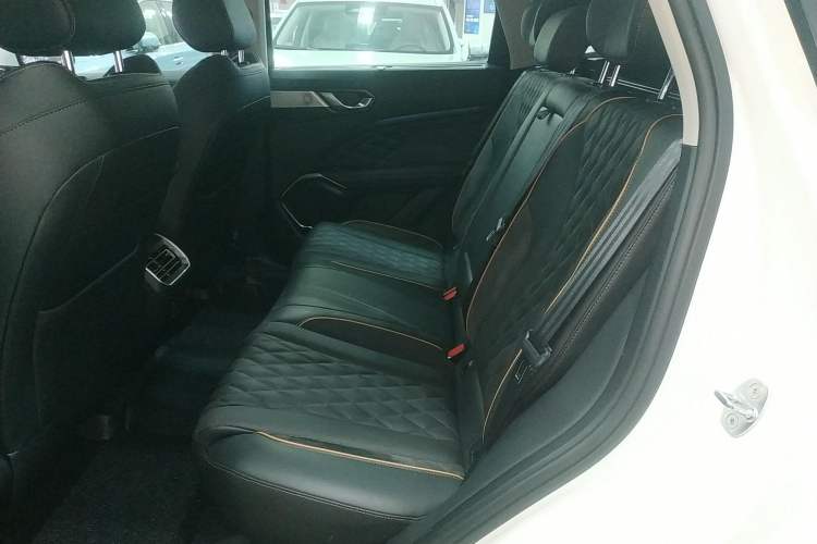Used Wey Latte DHT-PHEV 2022 1.5T Four-Wheel Drive Extra-Large Version Left Rear Seat