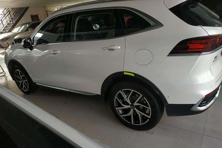 Used Wey Latte DHT-PHEV 2022 1.5T Four-Wheel Drive Extra-Large Version Left Side