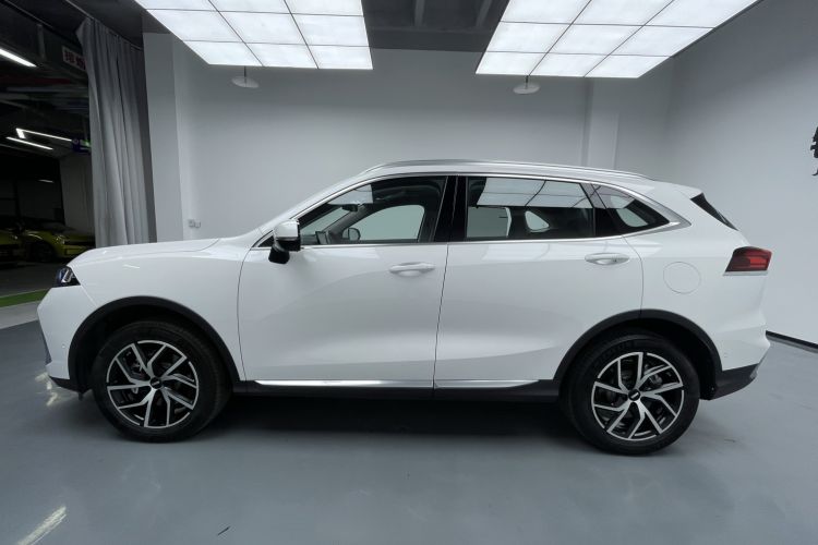 Used Wey Latte DHT-PHEV 2022 1.5T Four-Wheel Drive Extra-Large Version Left Side