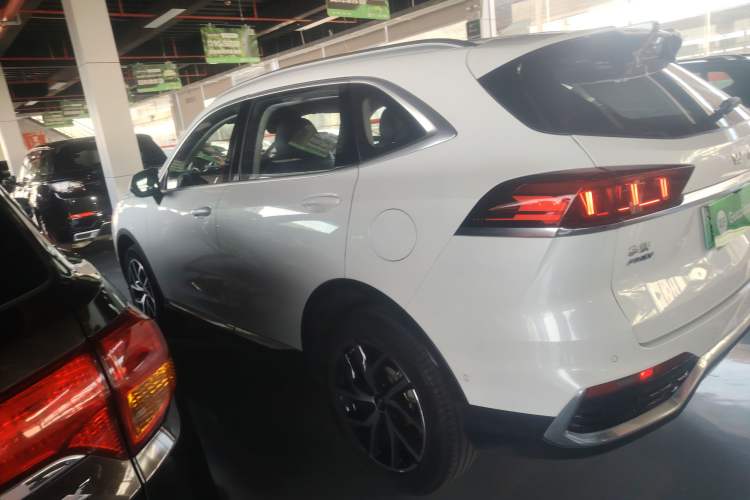 Used Wey Latte DHT-PHEV 2022 1.5T Four-Wheel Drive Extra-Large Version Left Side