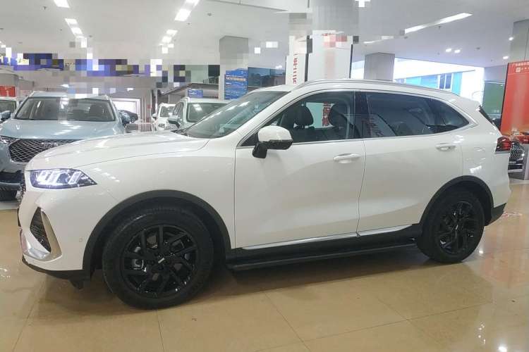 Used Wey Latte DHT-PHEV 2022 1.5T Four-Wheel Drive Extra-Large Version Left Side