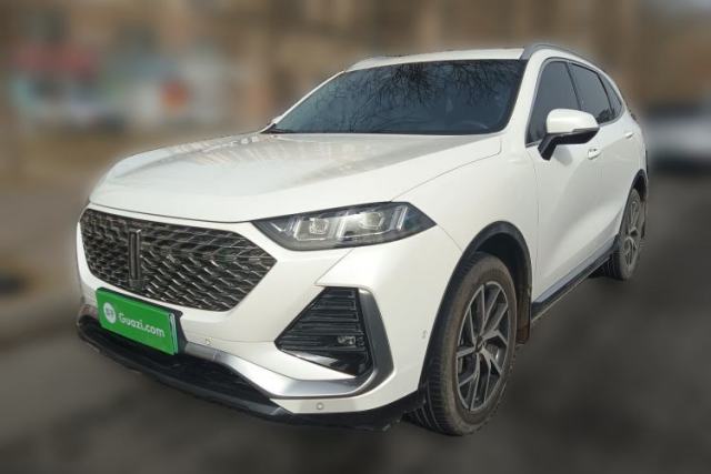 Used Wey Latte DHT-PHEV 2022 1.5T Two-Wheel-Drive Extra-Large Version