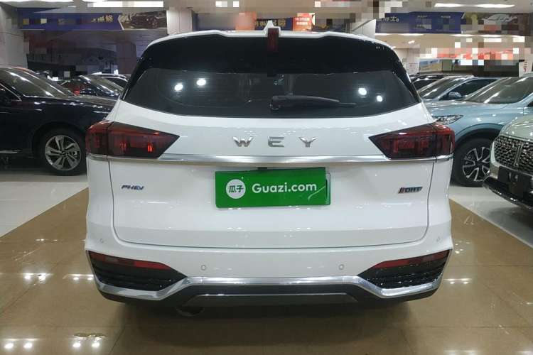 Used Wey Latte DHT-PHEV 2022 1.5T Four-Wheel Drive Extra-Large Version Rear