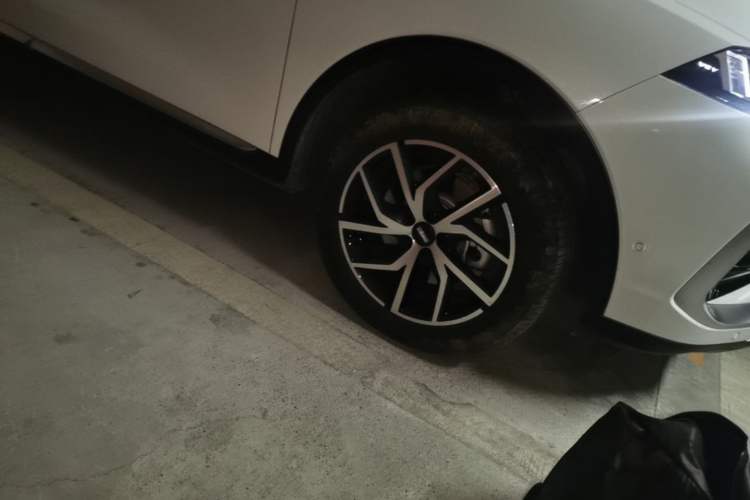 Used Wey Latte DHT-PHEV 2022 1.5T Four-Wheel Drive Extra-Large Version Right Front Wheel Hub
