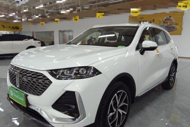 Used Wey Latte DHT-PHEV 2022 1.5T Four-Wheel Drive Extra-Large Version
