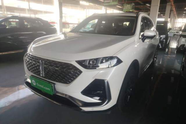 Used Wey Latte DHT-PHEV 2022 1.5T Four-Wheel Drive Extra-Large Version