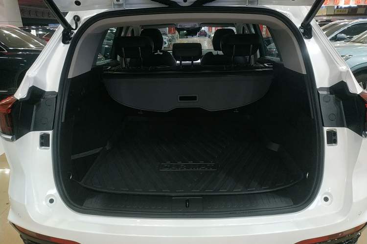 Used Wey Latte DHT-PHEV 2022 1.5T Four-Wheel Drive Extra-Large Version Trunk