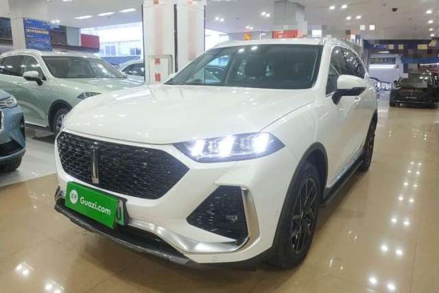 Used Wey Latte DHT-PHEV 2022 1.5T Four-Wheel Drive Extra-Large Version