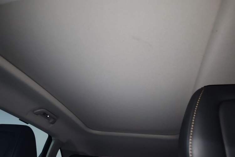 Used Wey Latte DHT-PHEV  Headliner