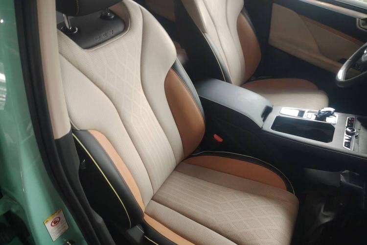 Used Wey Macchiato 2021 1.5L DHT Master Edition Right Front Seat