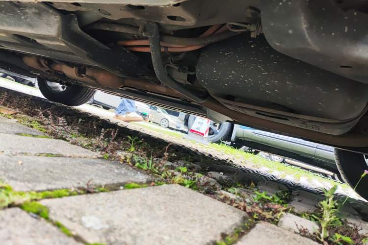 Used Wey Macchiato 2021 1.5L DHT Master Edition Chassis Rear Left