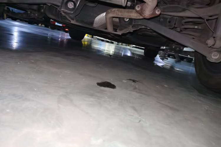 Used Wey Macchiato 2021 1.5L DHT Master Edition Chassis Rear