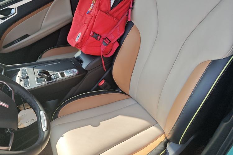 Used Wey Macchiato 2021 1.5L DHT Master Edition Left Front Seat