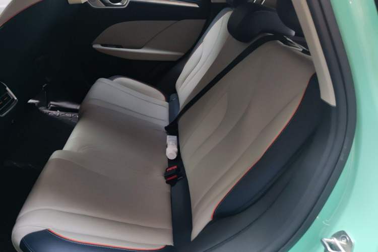 Used Wey Macchiato 2021 1.5L DHT Master Edition Left Rear Seat