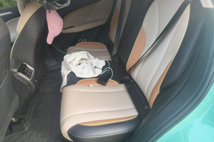 Used Wey Macchiato 2021 1.5L DHT Master Edition Left Rear Seat