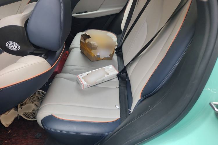 Used Wey Macchiato 2021 1.5L DHT Master Edition Left Rear Seat