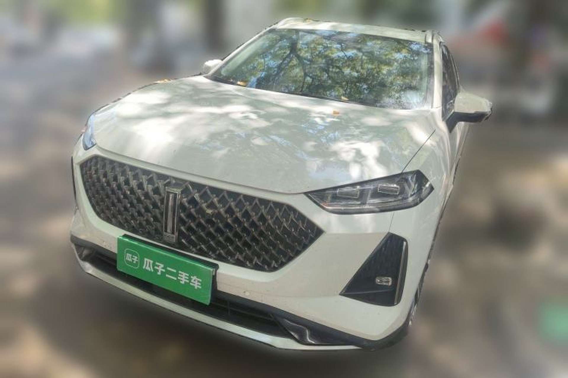Used Wey Macchiato 2021 1.5L DHT Master Edition Front Left 45 Deg