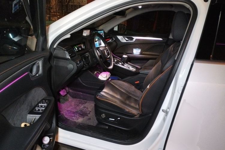 Used Wey Macchiato 2021 1.5L DHT Master Edition Left Front Seat