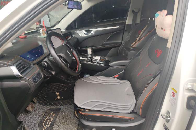 Used Wey Macchiato DHT-PHEV 2021 1.5L Master Edition Left Front Seat