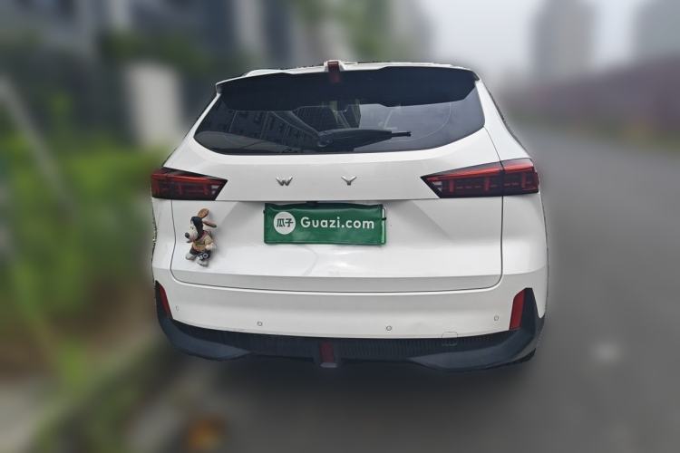 Used Wey Macchiato DHT-PHEV 2021 1.5L Master Edition Rear