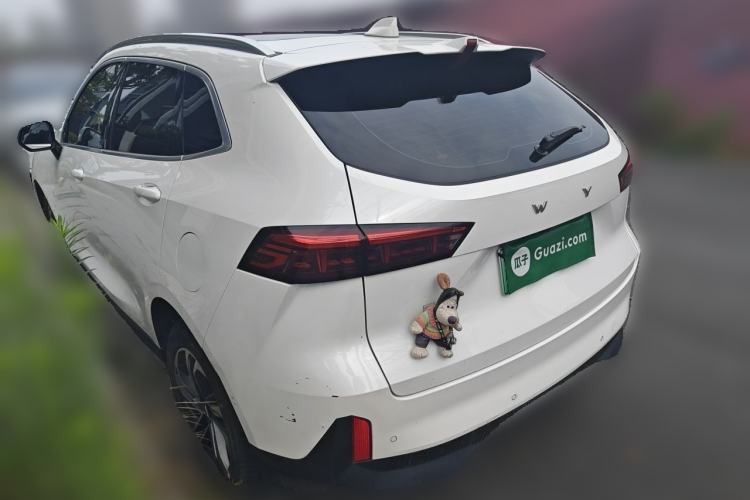 Used Wey Macchiato DHT-PHEV 2021 1.5L Master Edition Rear Left 45 Deg