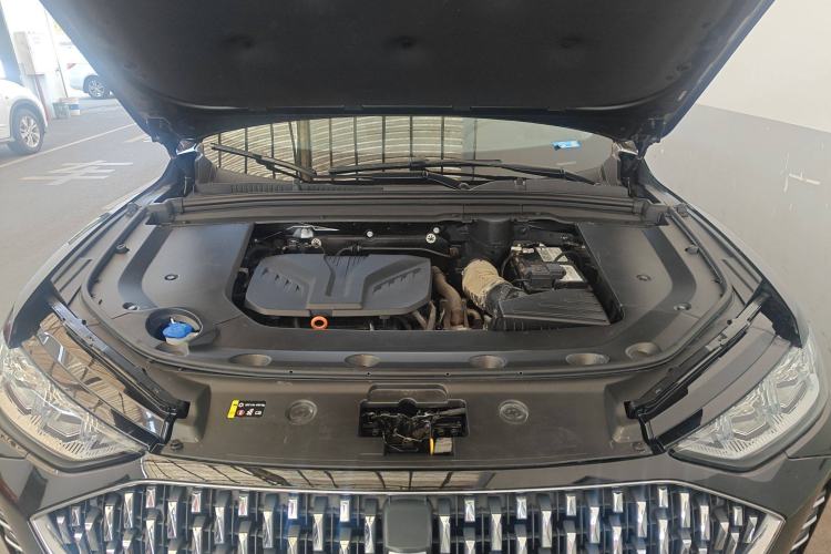 Used Wey Mocha 2021 2.0T Four-Wheel Drive Premium Edition Engine Bay