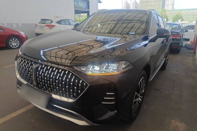 Used Wey Mocha 2021 2.0T Four-Wheel Drive Premium Edition