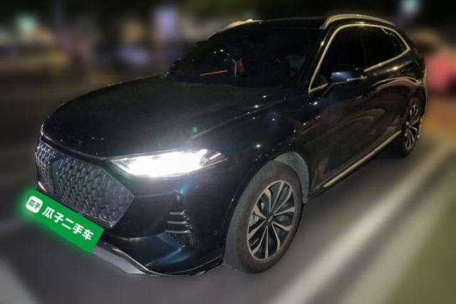 Used Wey Mocha 2021 2.0T Four-Wheel Drive Premium Edition