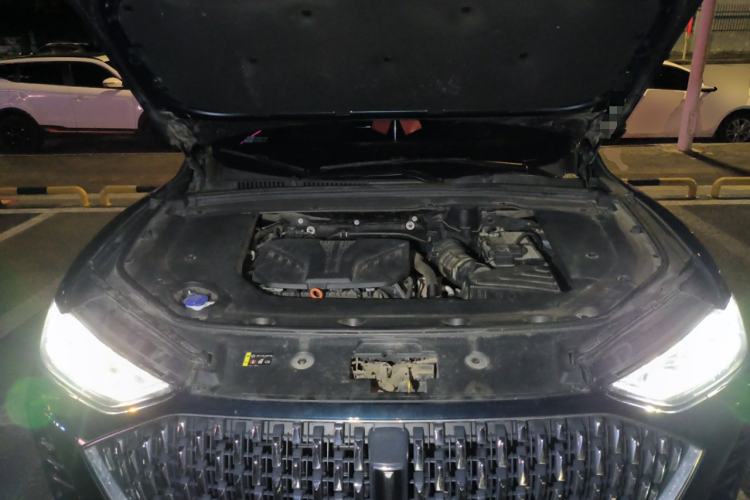 Used Wey Mocha 2021 2.0T Four-Wheel Drive Premium Edition Engine Bay