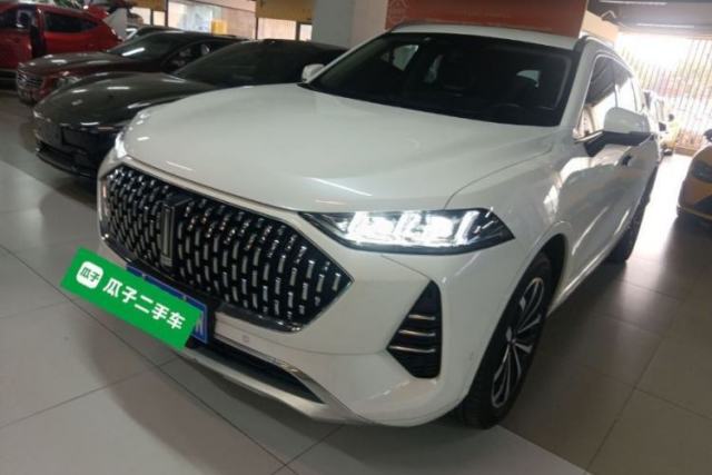 Used Wey Mocha 2021 2.0T Four-Wheel Drive Premium Edition