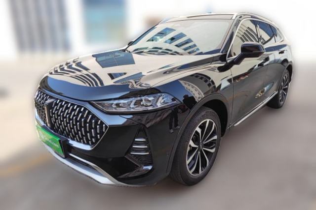 Used Wey Mocha 2021 2.0T Two-Wheel-Drive Premium Edition