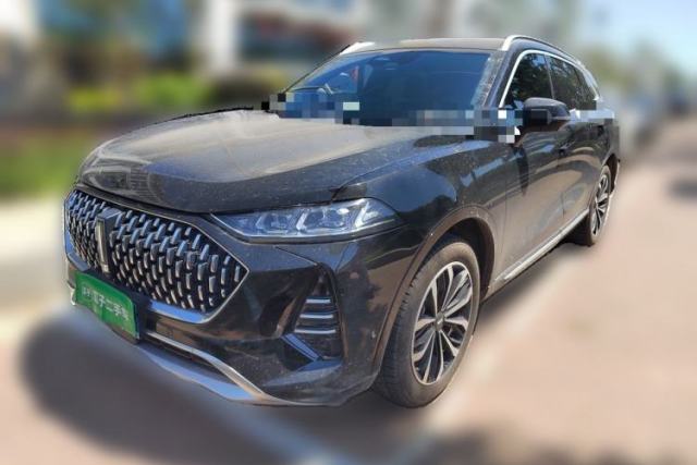 Used Wey Mocha 2021 2.0T Two-Wheel-Drive Premium Edition