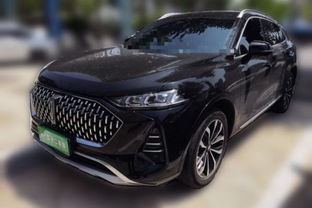Used Wey Mocha 2021 2.0T Four-Wheel Drive Premium Edition