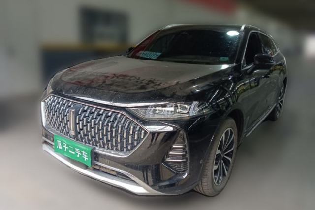 Used Wey Mocha 2021 2.0T Four-Wheel Drive Premium Edition