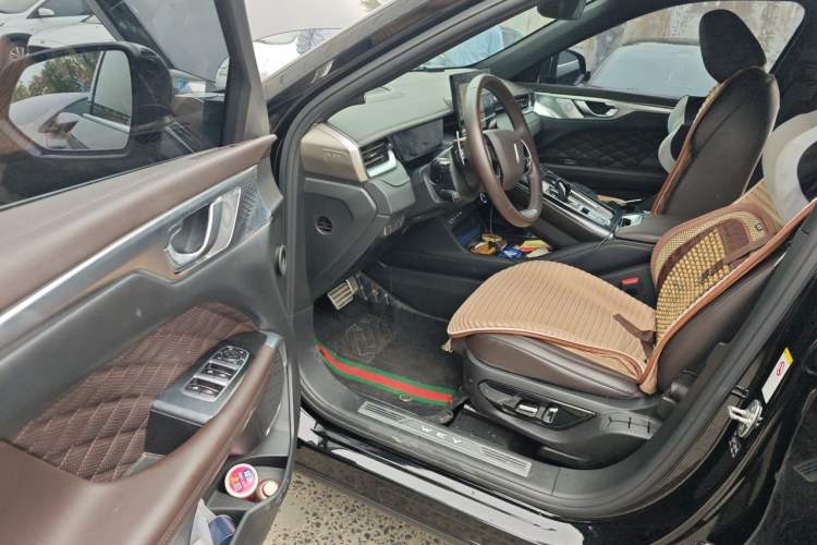 Used Wey Mocha 2021 2.0T Two-Wheel-Drive Ultra-Strong Version Driver Seat