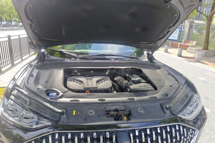 Used Wey Mocha 2021 2.0T Four-Wheel Drive Premium Edition Engine Bay