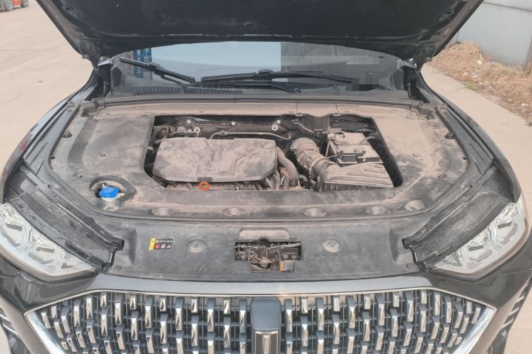 Used Wey Mocha 2021 2.0T Two-Wheel-Drive Ultra-Strong Version Engine Bay