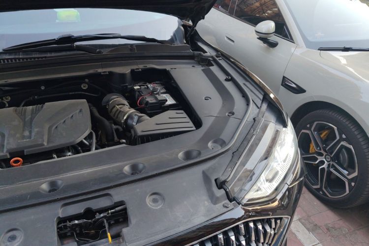 Used Wey Mocha 2021 2.0T Two-Wheel-Drive Premium Edition Engine Bay Left