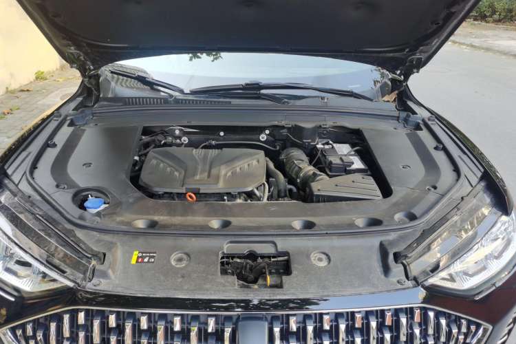 Used Wey Mocha 2021 2.0T Two-Wheel-Drive Premium Edition Engine Bay
