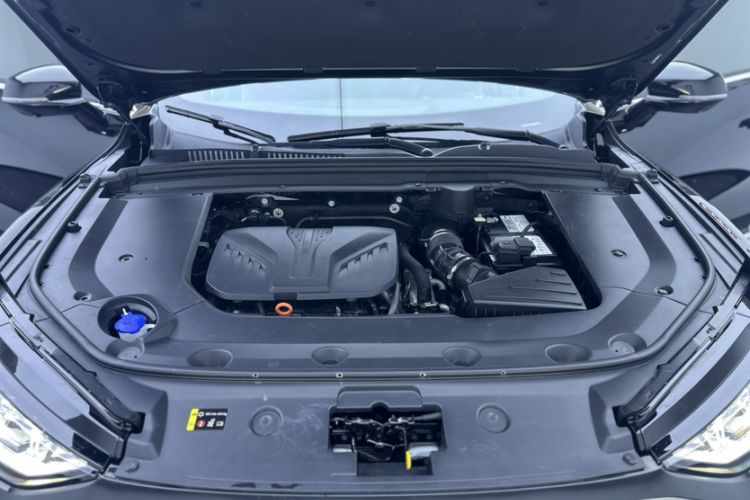Used Wey Mocha 2021 2.0T Two-Wheel-Drive Ultra-Strong Version Engine Bay