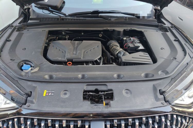 Used Wey Mocha 2021 2.0T Two-Wheel-Drive Premium Edition Engine Bay