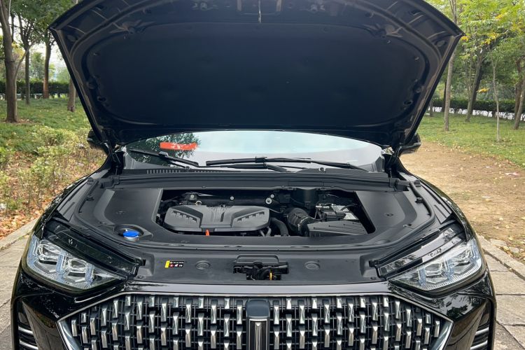 Used Wey Mocha 2021 2.0T Two-Wheel-Drive Premium Edition Engine Bay